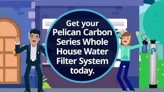 Introducing the Pelican Carbon Series Whole House Water Filter System | Pelican Water