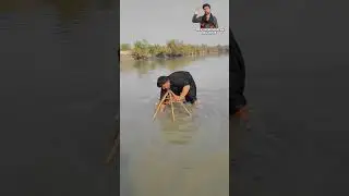 fishing 🎣 #comedy #fish #vlog #love #fishing #wildlife #crocodile #animals