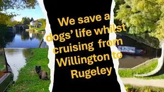 Episode 28: We save a dogs' life whilst cruising from Willington to Rugeley