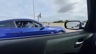 2015 Mustang GT vs 2019 Dodge Charger R/T (Both Stock)