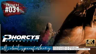 🐟  Phorcys Spearmedia #031🌍 Ancor chain and connection 🎬 Face to face with a 9.250G Dusky Grouper🔱😵