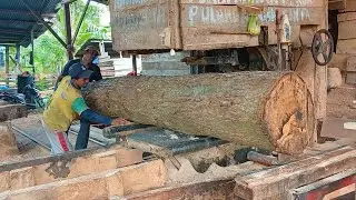 This Is How Super Large Wood Sawing Floorboard Material Is Really Done
