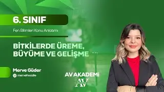Av Yayınları | 6. Sınıf Fen Bilimleri Konu Anlatımı | Bitkilerde Üreme, Büyüme ve Gelişme