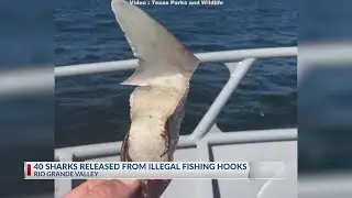 Texas Game Wardens seize illegal fishing gear