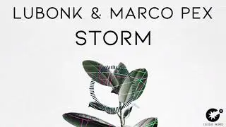 Lubonk & Marco Pex - Storm [CDR058]
