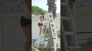 Как я сделал ГИГАНТСКУЮ светящуюся скульптуру