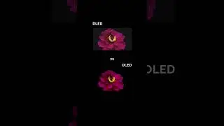 &iquest;DLED u OLED? &iexcl;Conoce sus diferencias!