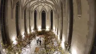 Meisterliche, florale Rauminstallation in der Wasserkirche Z&uuml;rich