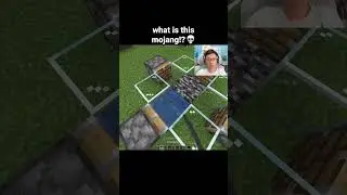 Minecraft Bedrock Glitch Moment