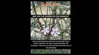 Morning Routing - 78 - Flower or Branch