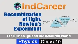 Recombination of Light: Newton's Experiment | Physics Class 10 | IndCareer