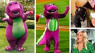 I THINK BARNEY IS ARTISTIC | News Reporter Cringe | Meme Review Monday