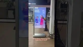 LEDDisplay