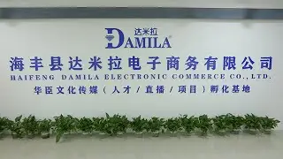 Meet our factory and office----Haifeng Damila Limited Company