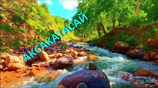 Поездка на Аксаката сай, Узбекистан