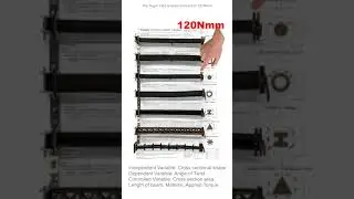 Torsion: Torsional Constant, Twisting (HKU Architecture Structural Principle Project) (2021-2022)
