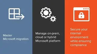 Quest: Your Go-To For Everything Microsoft