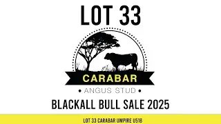 Lot 33 Carabar Umpire U518