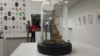 Der Wald und der Sturm im K&uuml;nstlerforum Bonn
