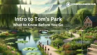 Intro to Tom&rsquo;s Park | What to Know Before You Go