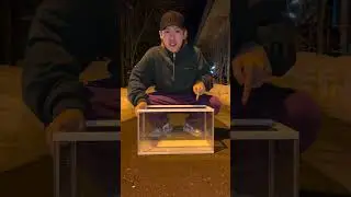 【検証】雨って実は超汚いらしいので飲んでみた！！！#shorts