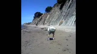 Juan playing baseball at Bowling Ball Beach