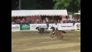 Bull Jumps Into Crowd In Redding, California