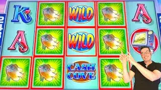 Fishing for BIG WINS in Cash Cove! 🐟🎣🐠