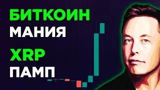 БИТКОИН МАНИЯ! ЭФИРИУМ НА ЛУНУ! XRP ПАМП! Криптовалюта Альткоины Прогноз и Обзор! BTC ETH RIPPLE.