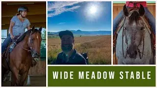 KURS TUTTLINGEN | Durchhausen | Wide Meadow Stable