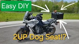 DIY Dog Carrier for Motorcycle