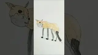 Fox drawing #shorts #art #drawing