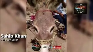 Fuel Analyst Sahib Khan YoYo Toys Seller| Sahib YoYo Man from Rahim Yar Khan| Sair Aab