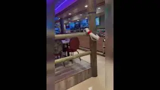 A new seafood restaurant in Chicago 4.4 reviews