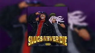 Wesley Rocco & Blackbrainz - INTRO (Lyric Video)