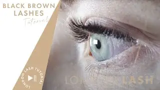Lash With Me: Black Brown Light Volume Lash Set