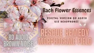 8D Audio Bach Rescue Remedy: Morphogenic Field, Brown Noise. For Anxiety and Panic Attacks
