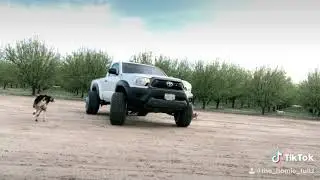 22x16 tacoma