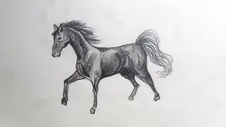 How to draw a horse | easy step by step | horse jumping