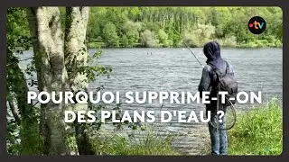 Depuis cinq ans, de plus en plus de plans d'eau sont effacés du paysage breton