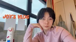Joy&rsquo;s vlog #6｜Life in Brussels｜Mushroom & Egg Wrap｜Homemade Sushi Success｜Low-Cal Basque Cheesecake