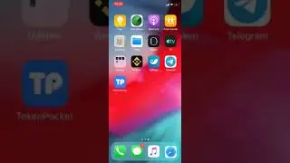 Binance USDT (BEP20) transfer to LMB