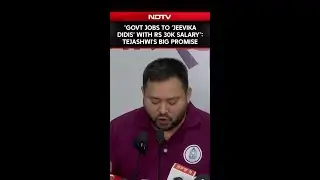 Rs 30,000 Salary, Permanent Govt Jobs: Tejashwi Yadav's Big Poll Promise For 'Jeevika Didis'