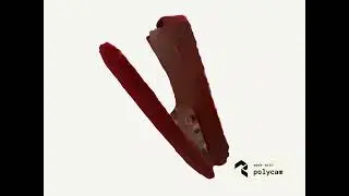 🎥 10:22 sec of 3D Modeling of a Red Stapler Using Polycam