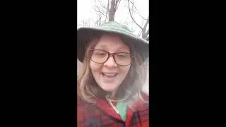 Virtual Hike with Evanston Ecology Center