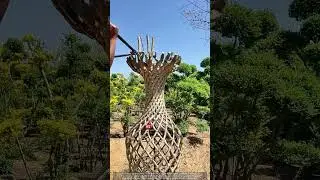 Pruning a Crape Myrtle into a Living Antique Vase