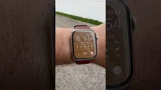 Is the Apple Watch Leather Link Band the Best overall Band?