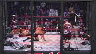 Lockdown 2014: Lethal Lockdown Match Team Dixie vs Team MVP