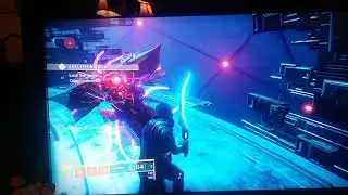 friendly harpy in destiny 2