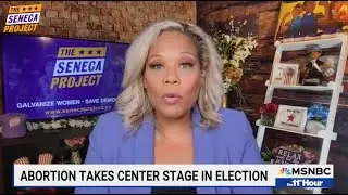 Women's Rights is the Issue of the 2024 Election: Tara Setmayer Co-Founder of The Seneca Project